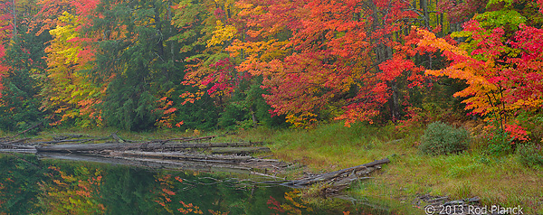 Autumn Forest, Foggy Bogs and Lake Superior Shoreline, Porcupine Mountains Wilderness State Park and Environs, Michigan